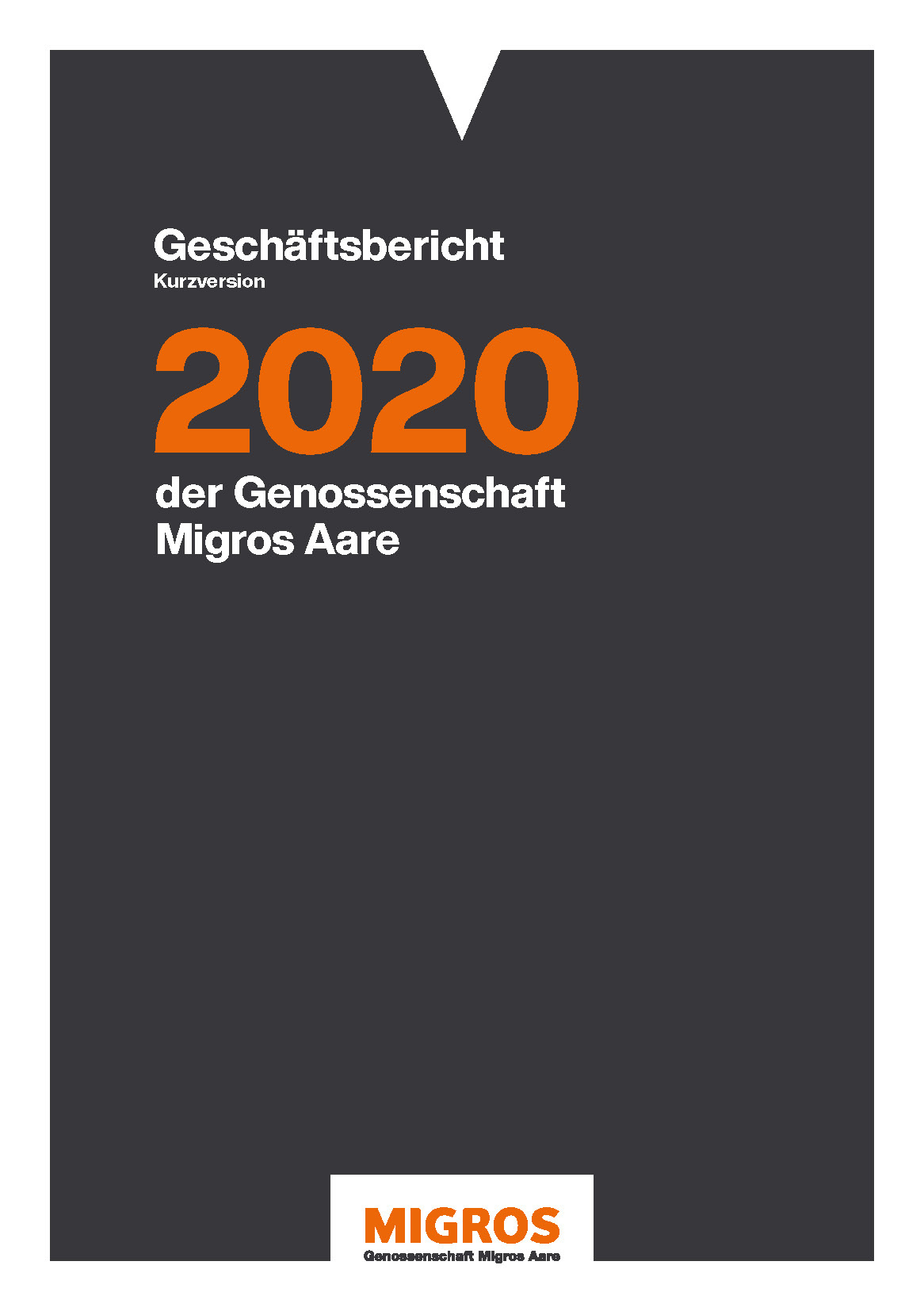Titelseite Geschäftsbericht 2020