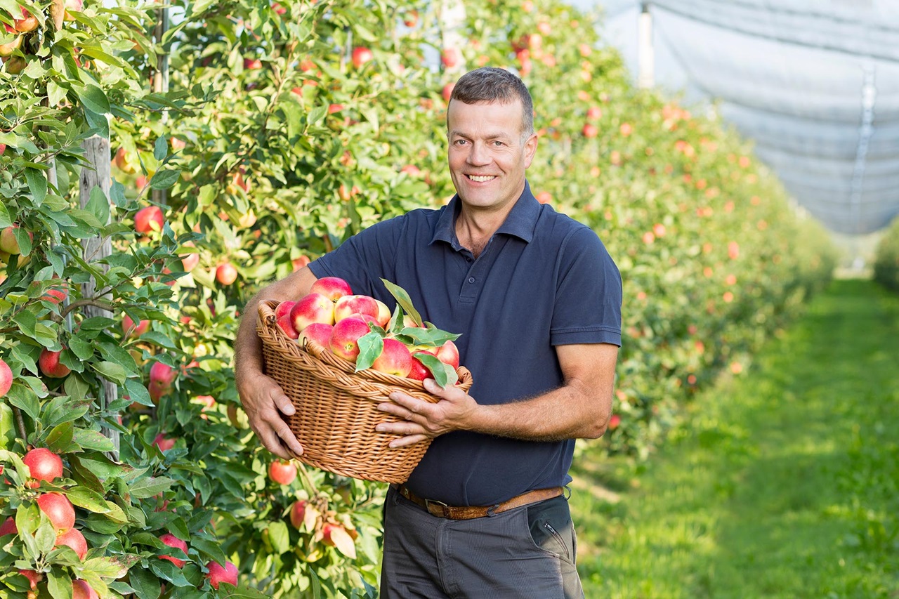 Apfelproduzent auf der Plantage