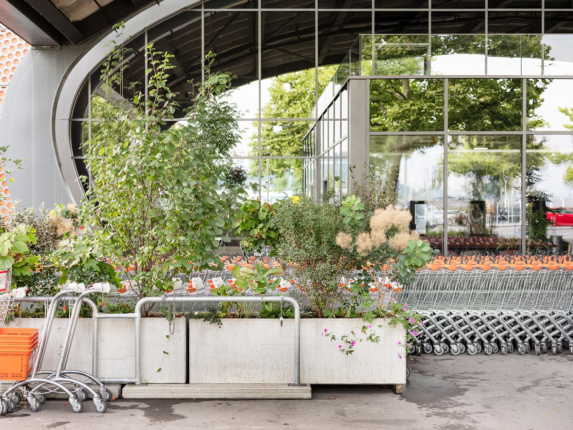 Eingang Shoppyland mit vielen Pflanzen